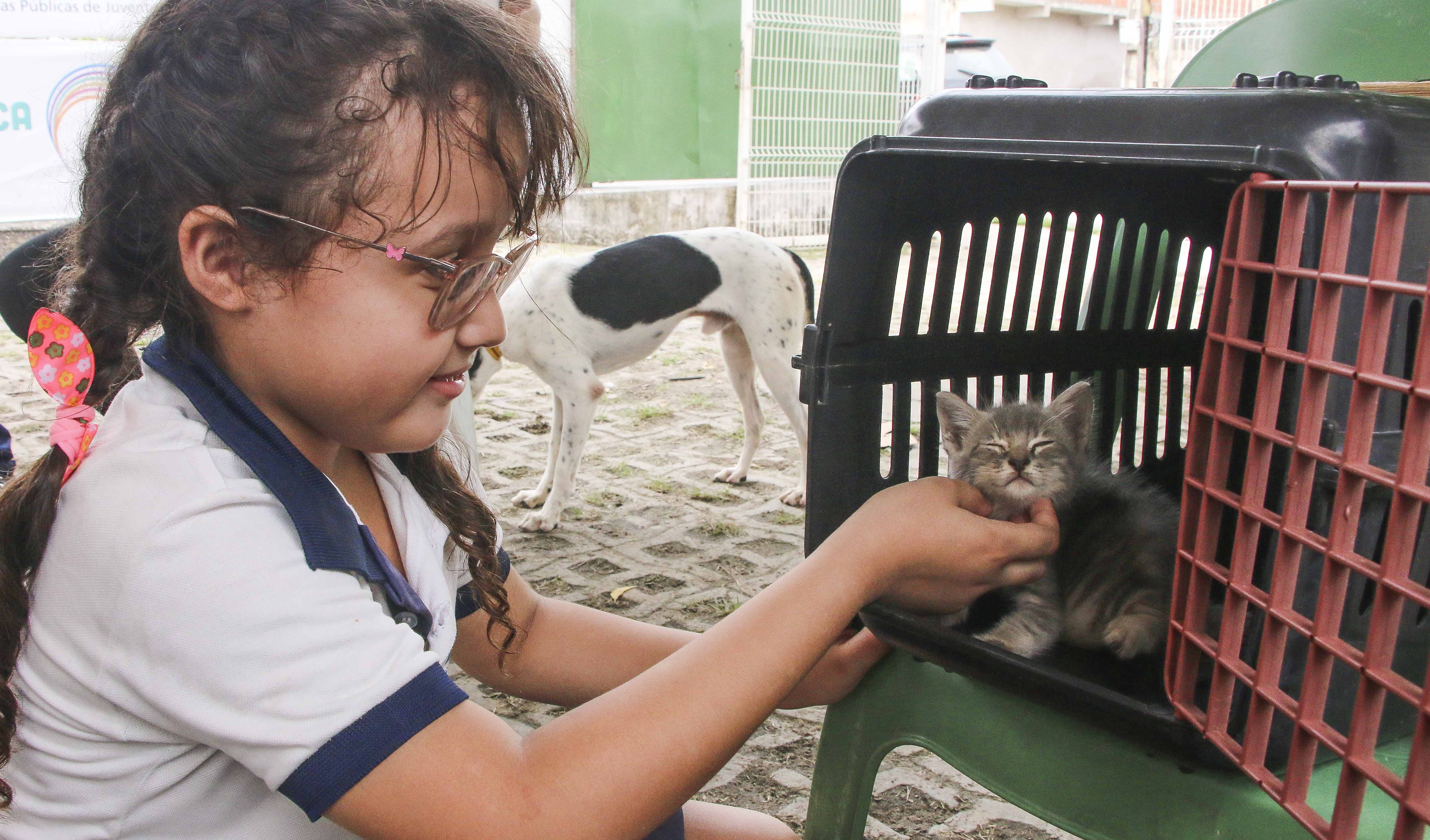 menina brincando com um gatinho